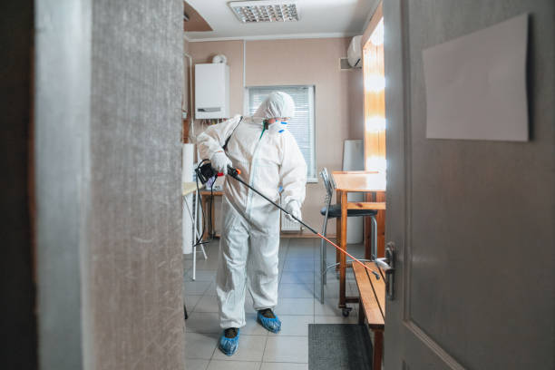 Best Industrial Mold Remediation  in Madras, OR