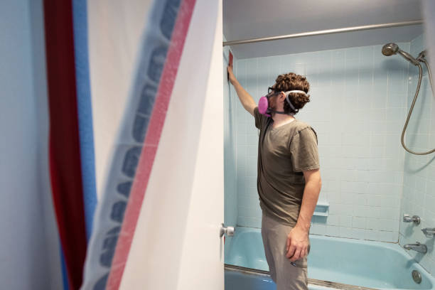 Best Asbestos and Lead Testing During Mold Inspection  in Madras, OR