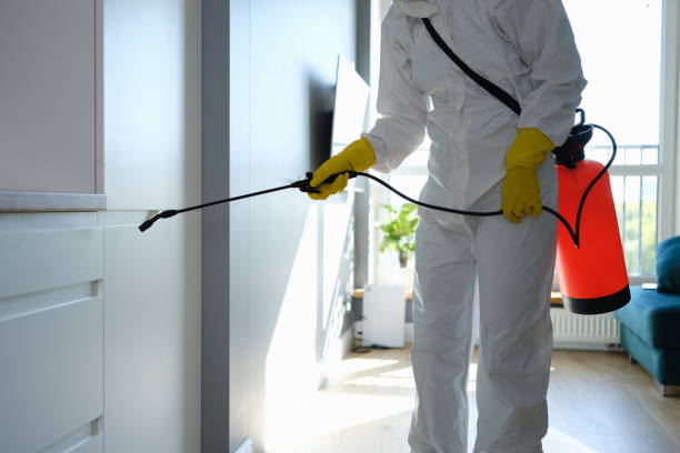 Best Mold Removal for HVAC Installations  in Madras, OR